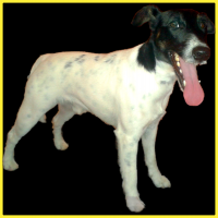 /album/fenykepgaleria/galeria1-png/