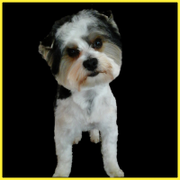 /album/fenykepgaleria/galeria2-png/