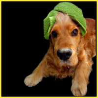 /album/fenykepgaleria/galeria4-png/