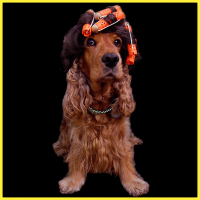 /album/fenykepgaleria/galeria5-png/