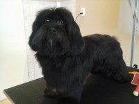 /album/fenykepgaleria/a20140206-101644-jpg1/