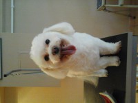 /album/fenykepgaleria/a20140218-143144-jpg1/