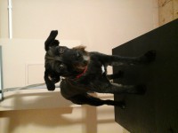 /album/fenykepgaleria/a20140219-123953-jpg1/