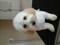 /album/fenykepgaleria/a20140228-110602-jpg1/