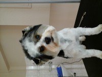 /album/fenykepgaleria/a20140401-164049-jpg1/