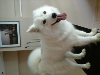 /album/fenykepgaleria/a20140409-100824-jpg1/