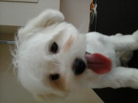 /album/fenykepgaleria/a20140603-124833-jpg1/