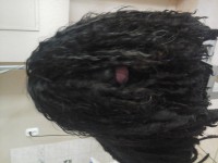 /album/fenykepgaleria/a20140726-093501-jpg1/