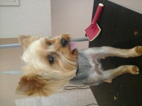 /album/fenykepgaleria/a20140726-145209-jpg1/