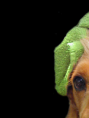 /album/kepgaleria-kezdolap/reka-hue-png/
